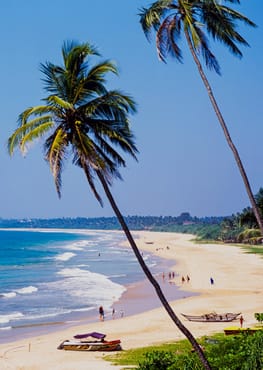 Sri Lanka Tour Itineraries 7 Days Bentota