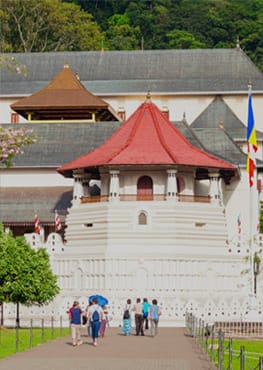 Sri Lanka Tour Itineraries 7 Days Kandy