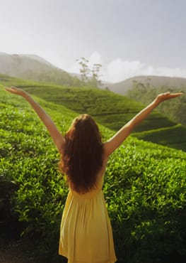 Sri Lanka Tour Itineraries 7 Days Nuwara Eliya