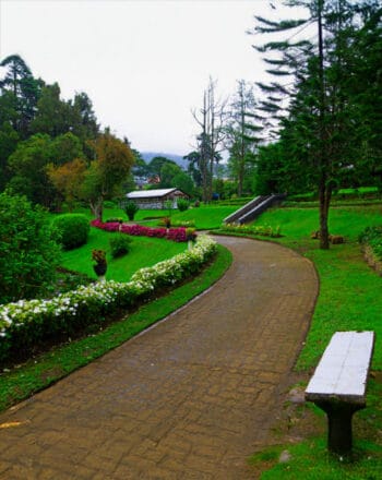 Nuwara Eliya Day Tour