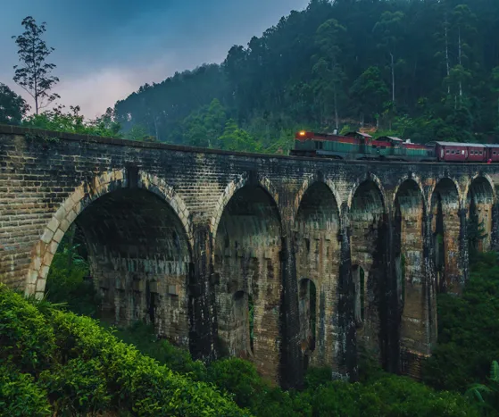 Sri Lanka Travel Tour Packages