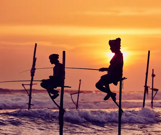 Sri Lanka Travel Tour Packages