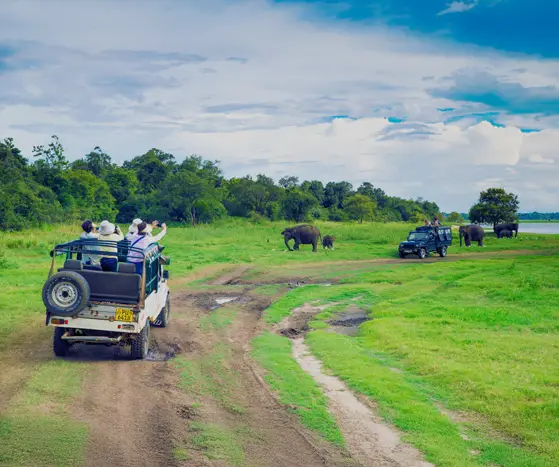 Sri Lanka Travel Tour Packages