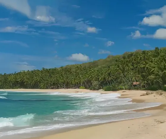 Sri Lanka private tour